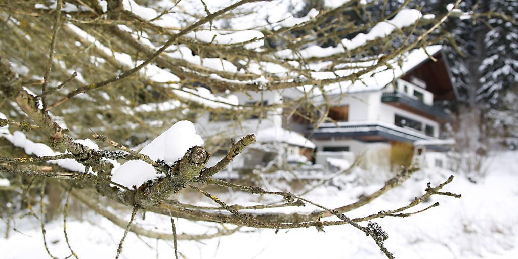 Hotel-Pension Zum Paradies ヴィリンゲン エクステリア 写真