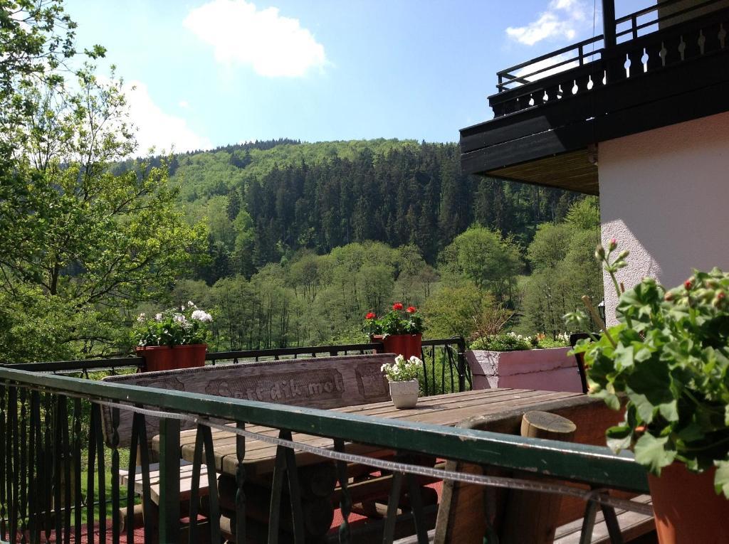 Hotel-Pension Zum Paradies ヴィリンゲン エクステリア 写真